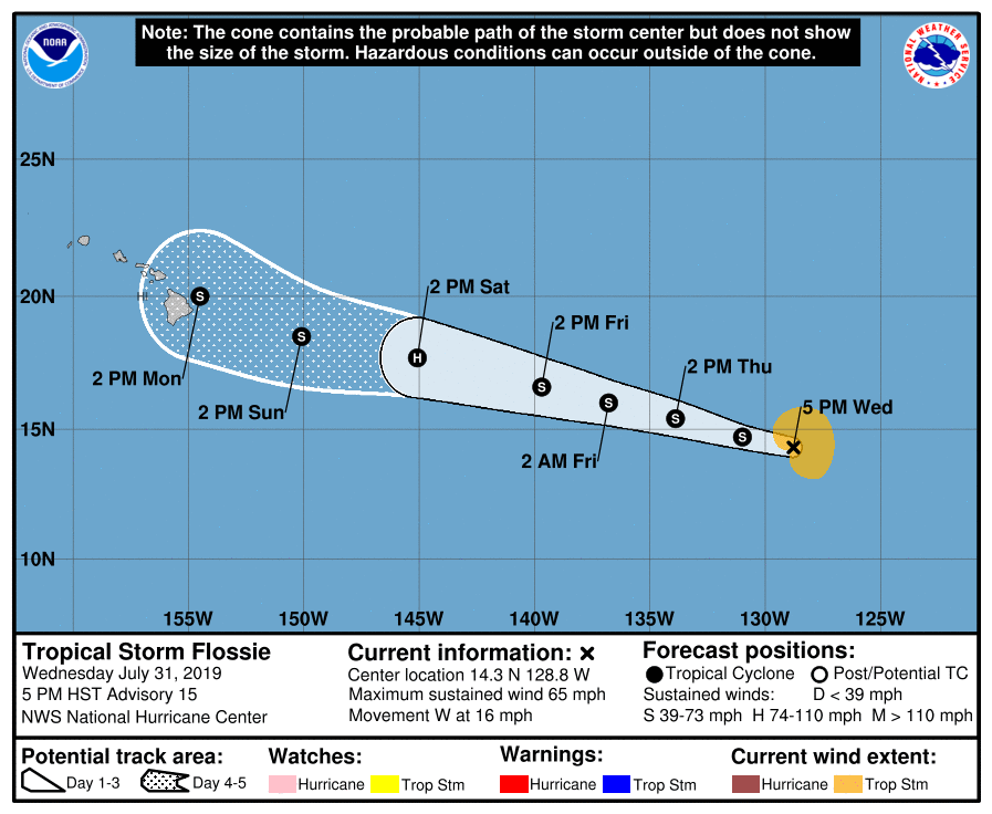 flossie 5pm jul 31.png